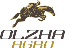 logo dark